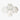 Calacatta Gold Honed 6 Inch Hexagon Marble Mosaic