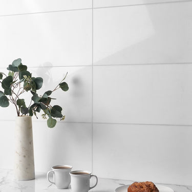 Thassos Polished 12x24 Marble Tile